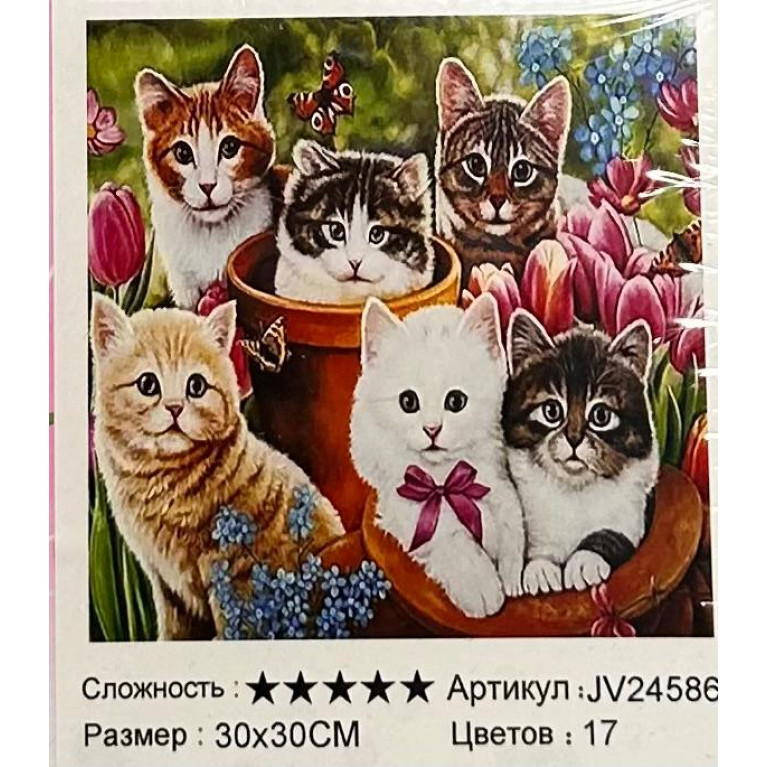 Алмазная мозаика 30*30 см котята jv24586