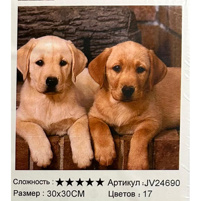 Алмазная мозаика 30*30 см  собаки jv24690