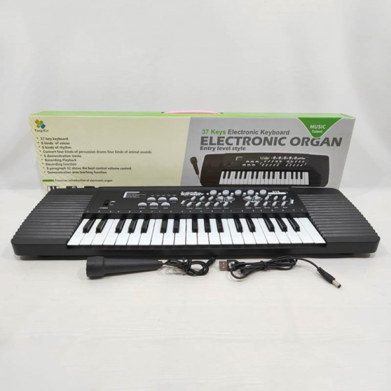 Синтезатор (220v/ на бат.) с микрофоном, usb провод TX-9738 в кор. в кор.24шт