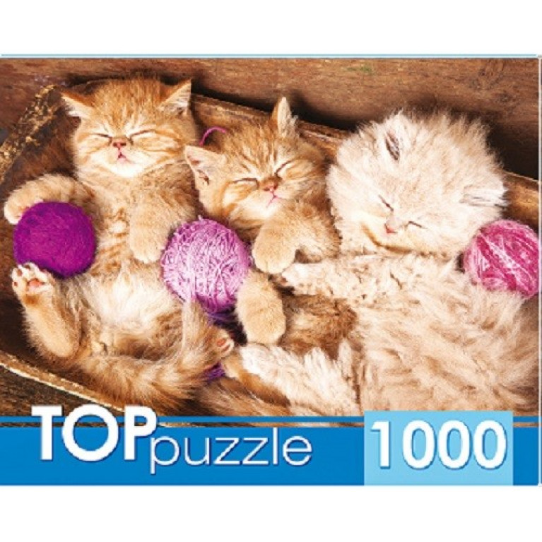 TOPpuzzle Пазлы  1000 элем. ГИТП1000-4140 Спящие котята с клубками